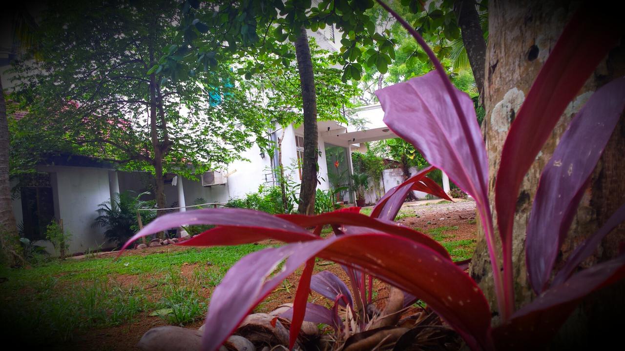 Nooit Gedacht Holiday Resort Unawatuna Exterior photo