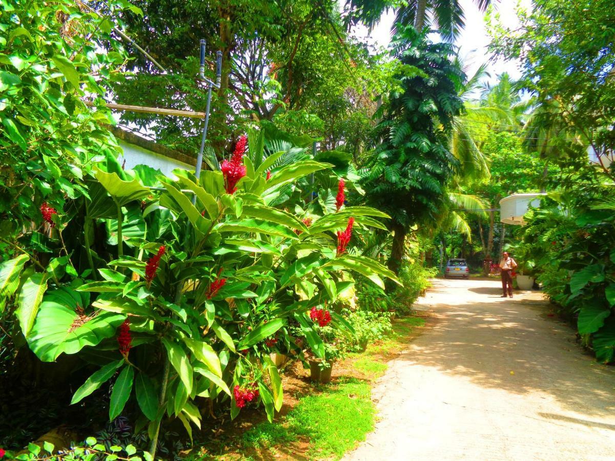 Nooit Gedacht Holiday Resort Unawatuna Exterior photo